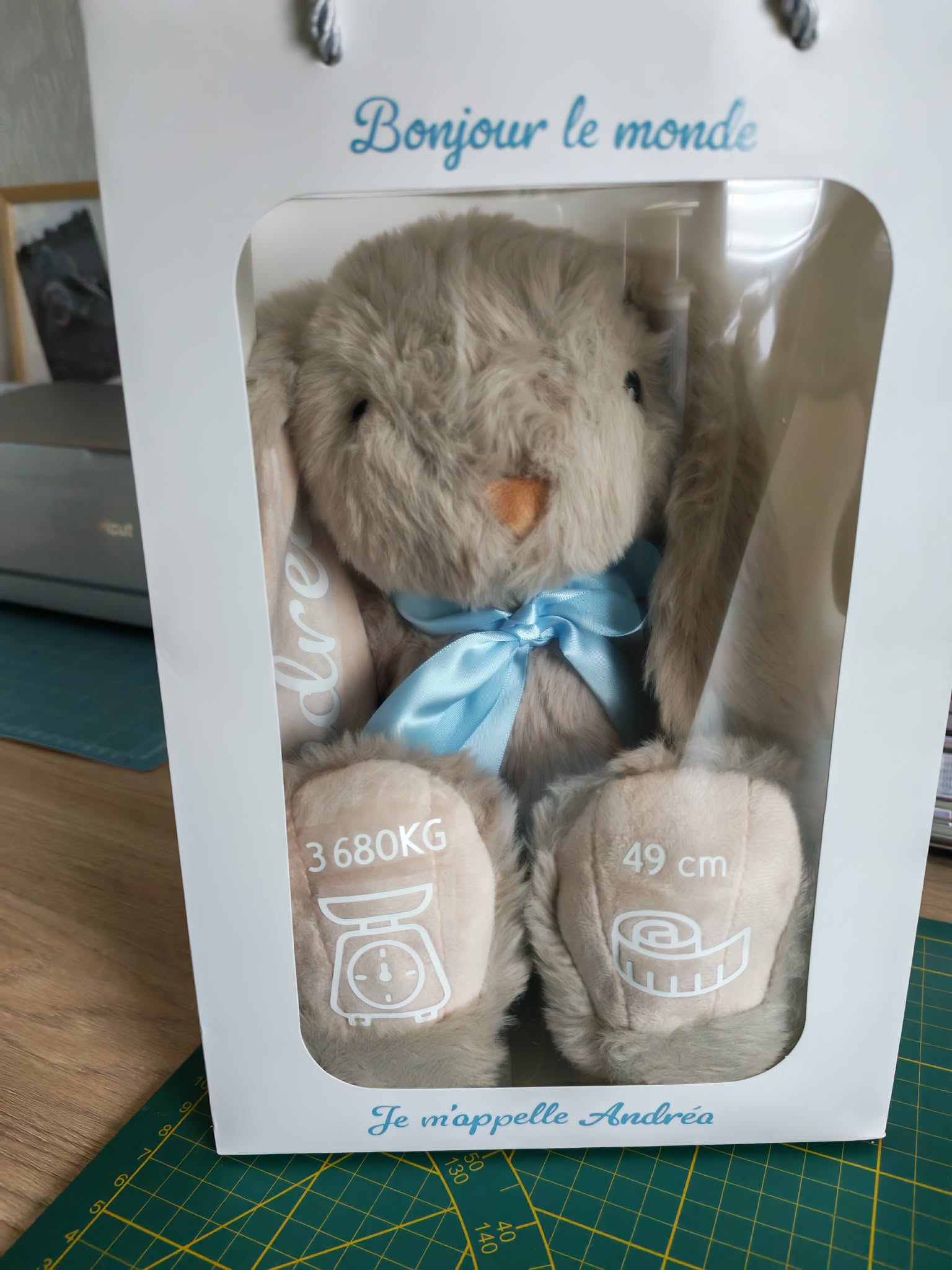 Personnalisation Doudou Lapin Naissance – Image 27