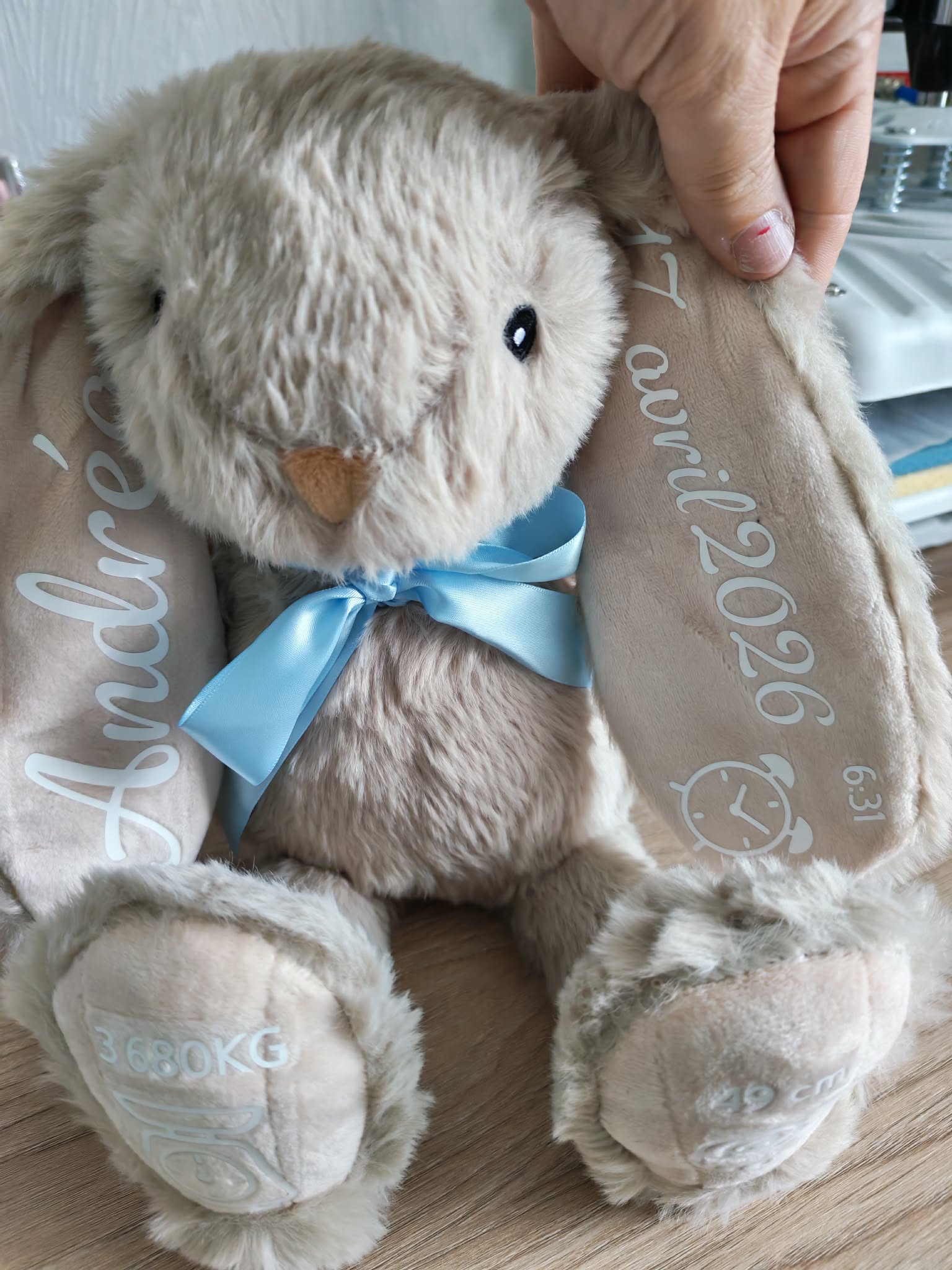 Personnalisation Doudou Lapin Naissance – Image 26